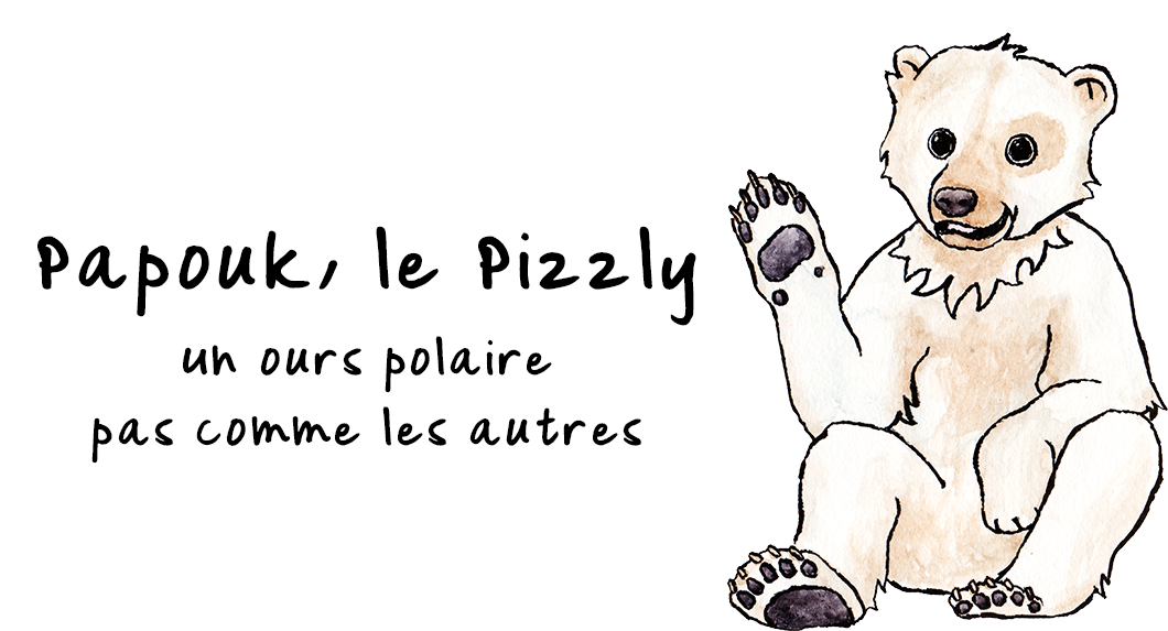 Un Ours Pas Comme Les Autres Papouk le Pizzly, un ours polaire pas comme les autres.